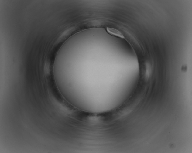 X0000094950216200712131629