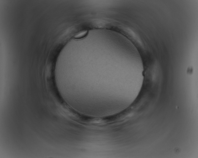 X0000094950217200712131629