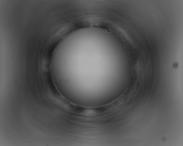 X0000094950218200712131629