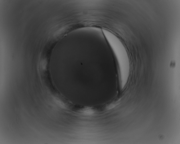 X0000094950219200712131629