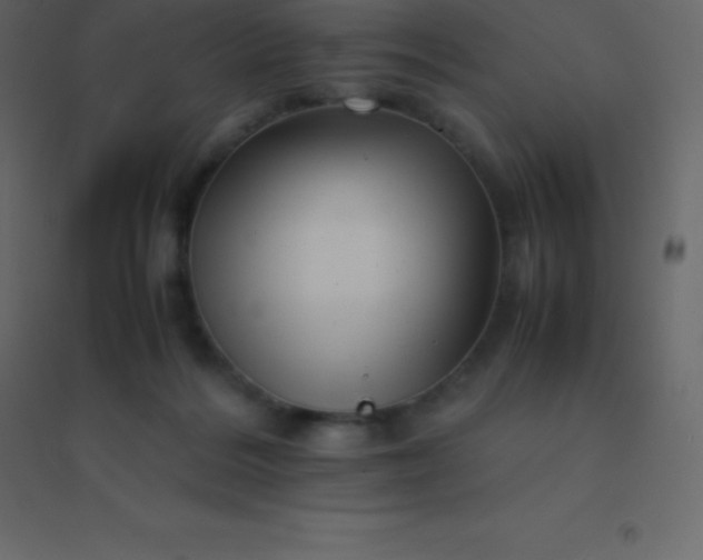 X0000094950220200712131629