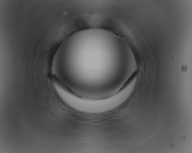 X0000094950221200712131629