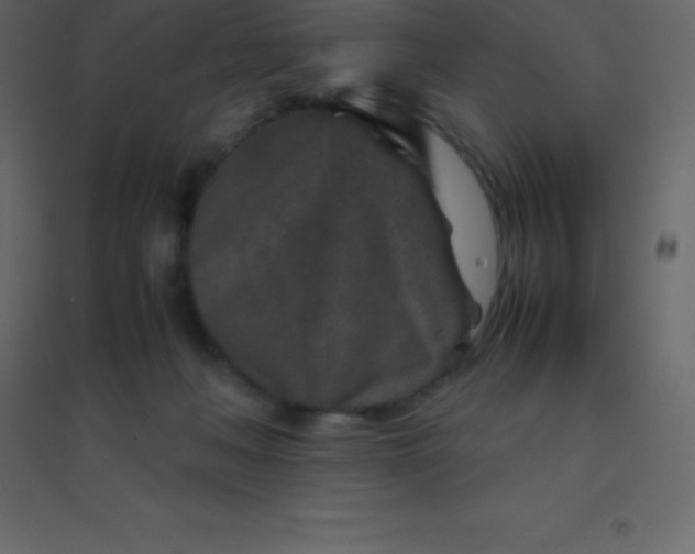 X0000094950222200712131629