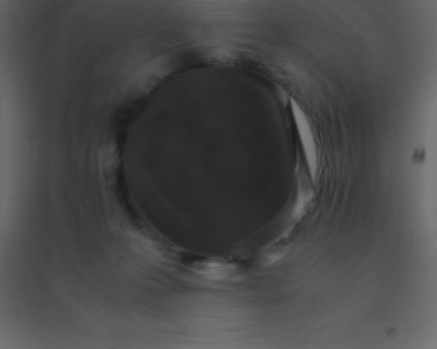 X0000094950223200712131629