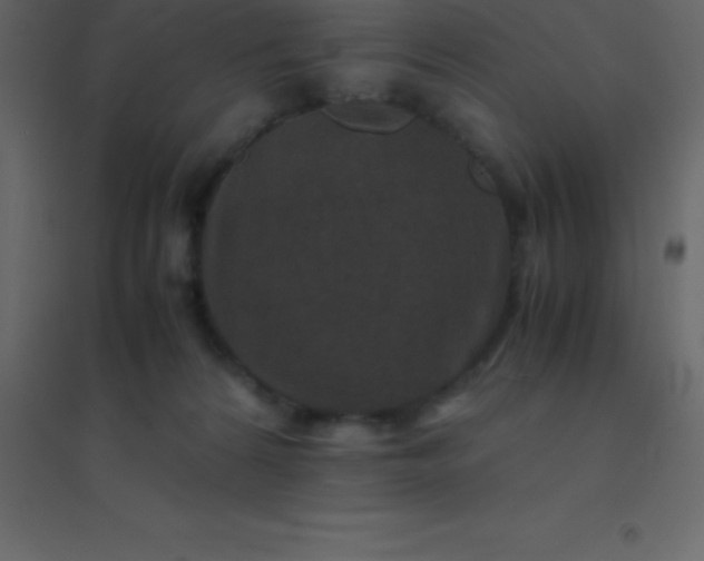 X0000094950224200712131629