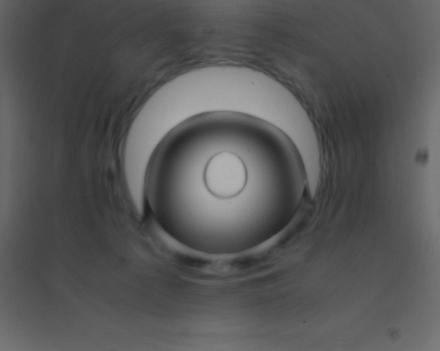 X0000094950225200712131629