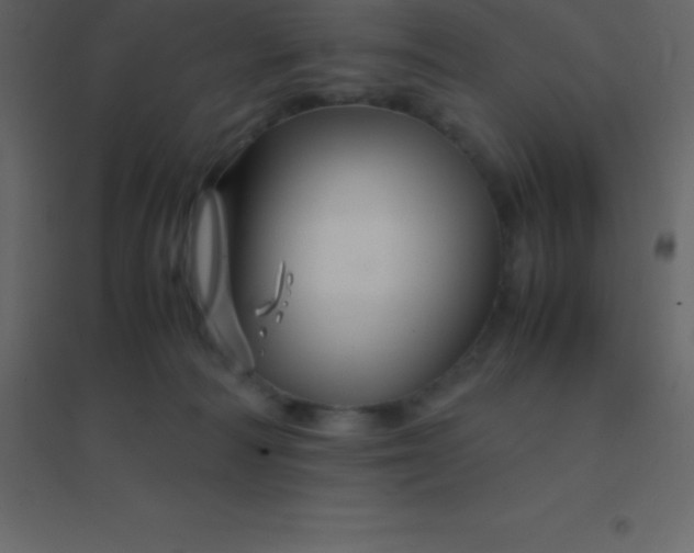 X0000094950226200712131629