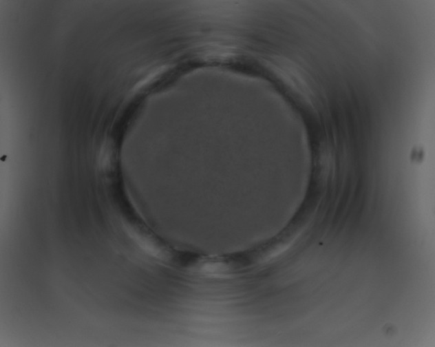 X0000094950228200712131629