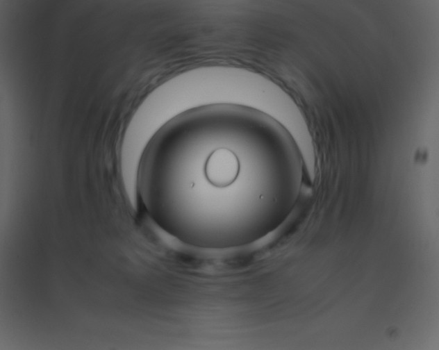 X0000094950229200712131629