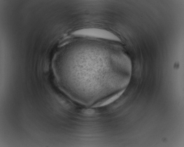 X0000094950230200712131629