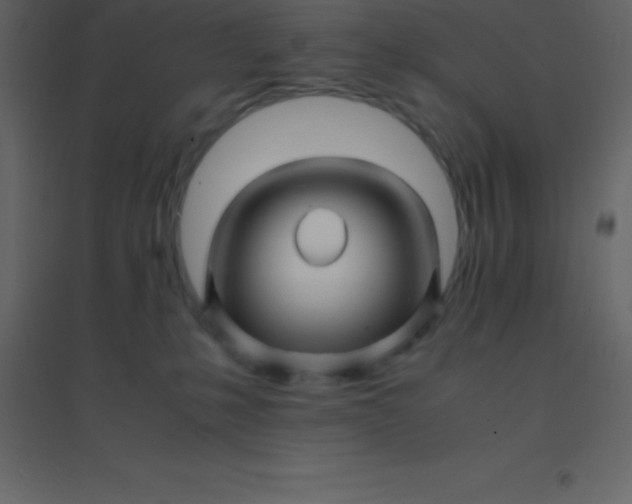 X0000094950231200712131629