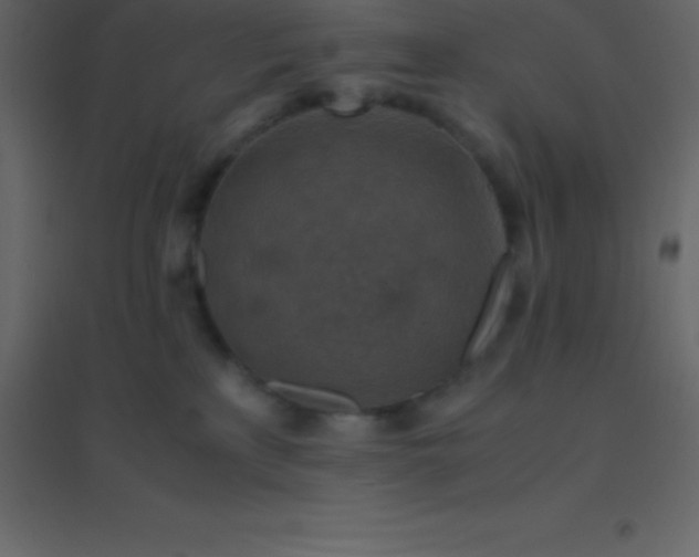 X0000094950233200712131629