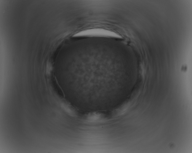 X0000094950235200712131629