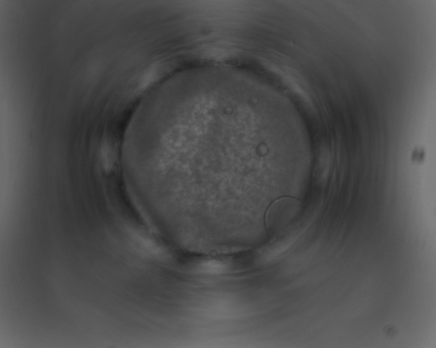 X0000094950236200712131629