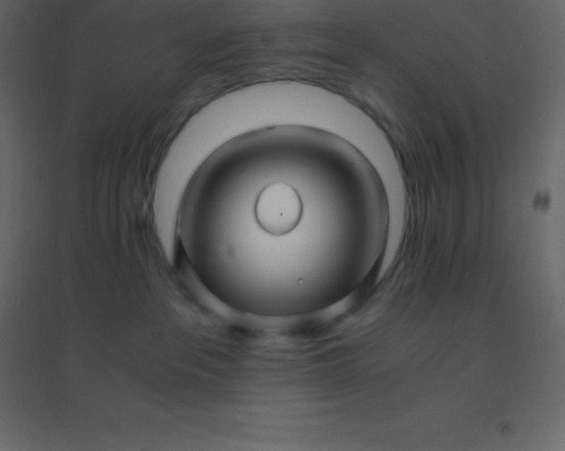 X0000094950237200712131629