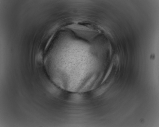 X0000094950238200712131629