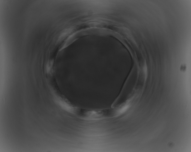 X0000094950239200712131629