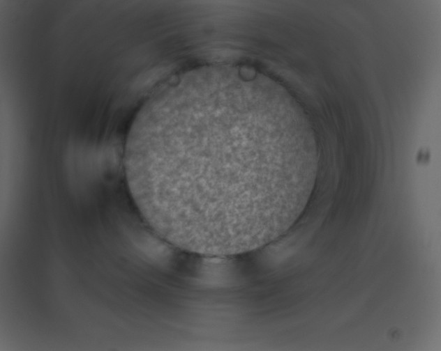 X0000094950240200712131629