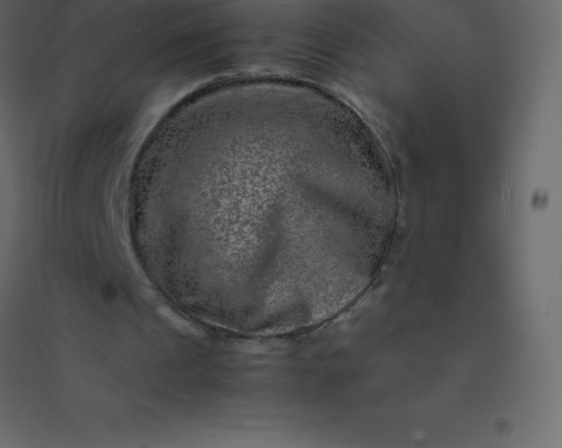 X0000094950241200712131628