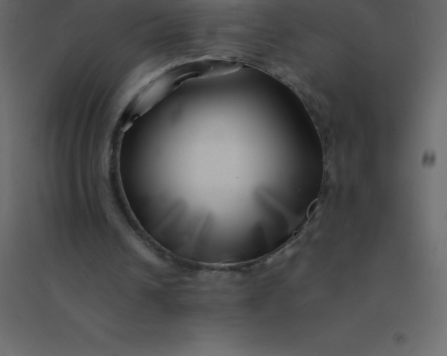 X0000094950242200712131628