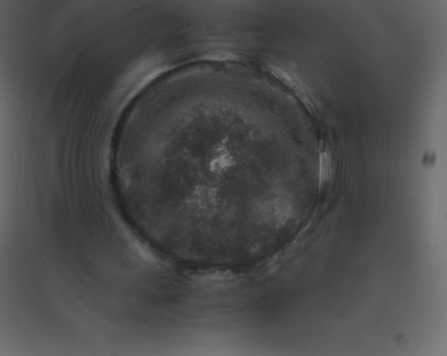 X0000094950243200712131628