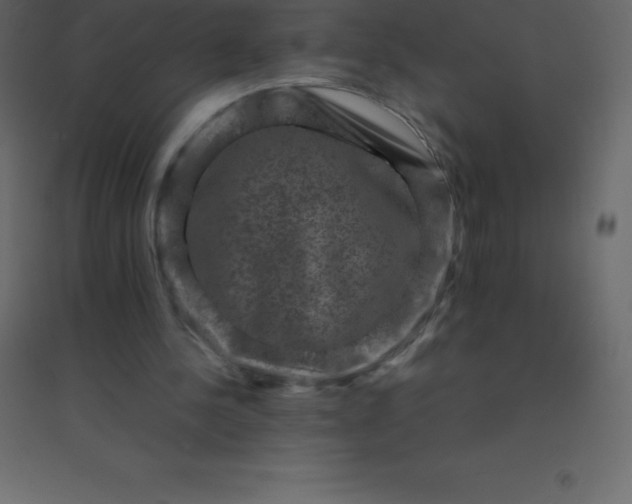 X0000094950244200712131628