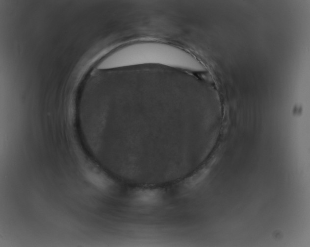 X0000094950247200712131628