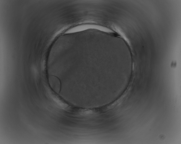 X0000094950249200712131628