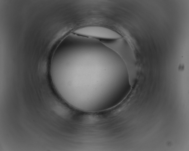 X0000094950250200712131628