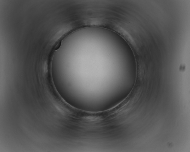 X0000094950251200712131628