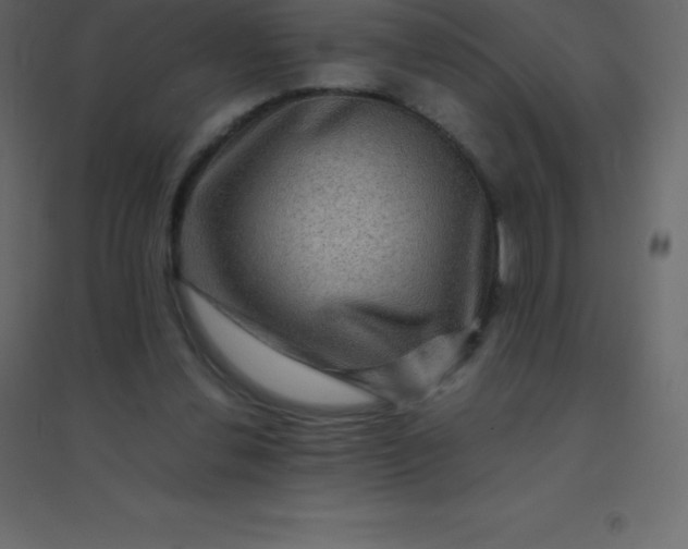 X0000094950252200712131628