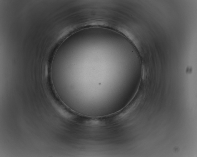 X0000094950253200712131628