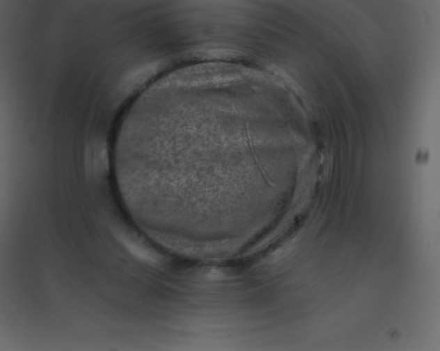 X0000094950254200712131628