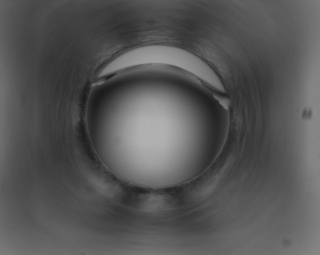 X0000094950255200712131628