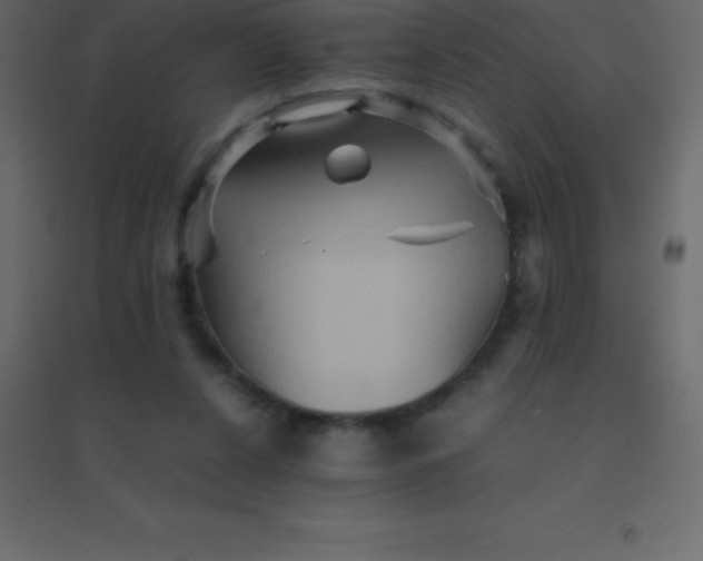 X0000094950256200712131628