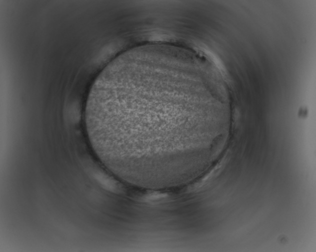 X0000094950257200712131628