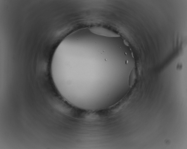 X0000094950258200712131628