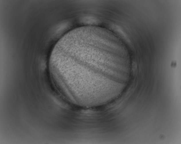 X0000094950259200712131628