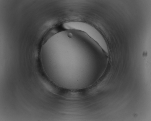 X0000094950260200712131628