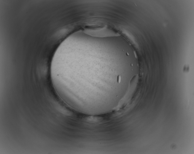 X0000094950261200712131629