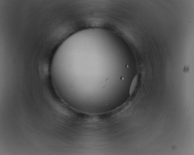 X0000094950262200712131629