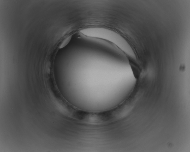 X0000094950264200712131629