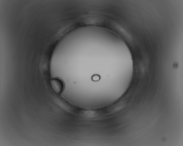 X0000094950265200712131629