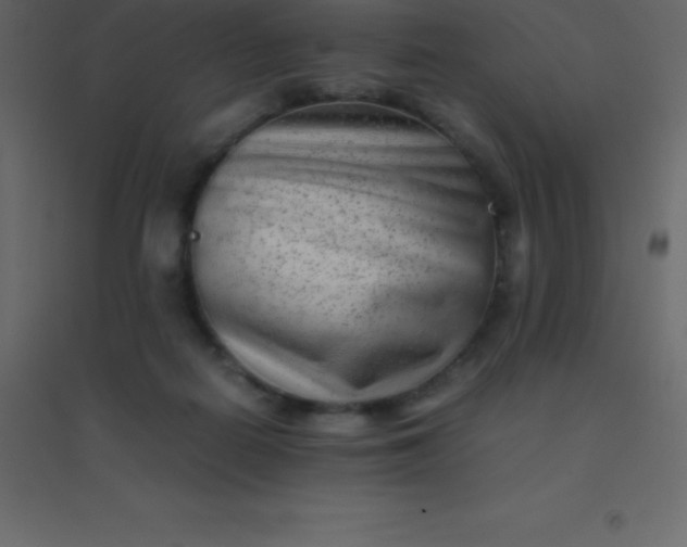 X0000094950266200712131629