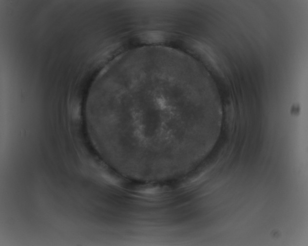 X0000094950267200712131629