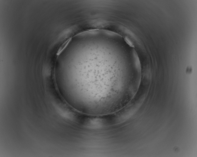 X0000094950268200712131629