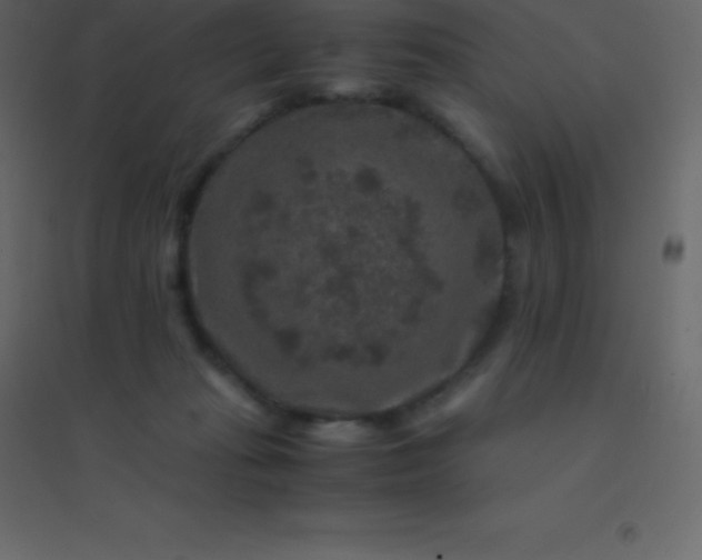 X0000094950269200712131629