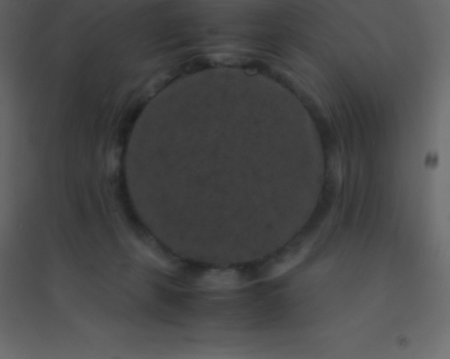 X0000094950271200712131629