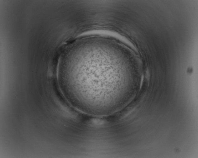 X0000094950272200712131629