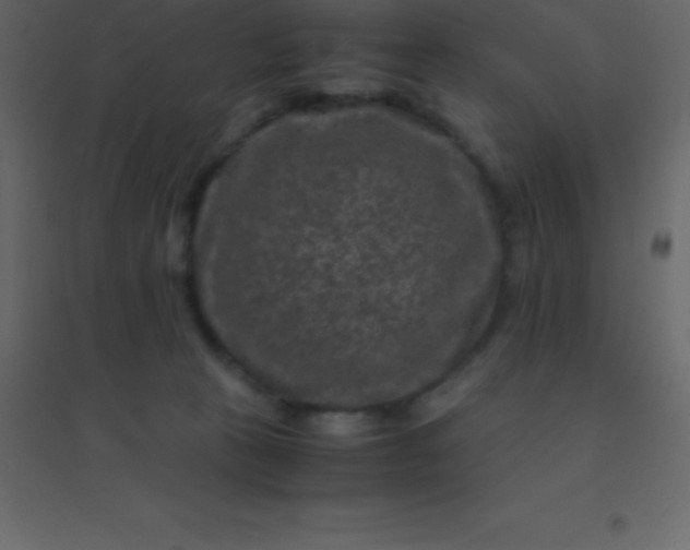 X0000094950273200712131629